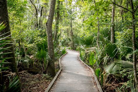 jean lafitte national park swamp tour.